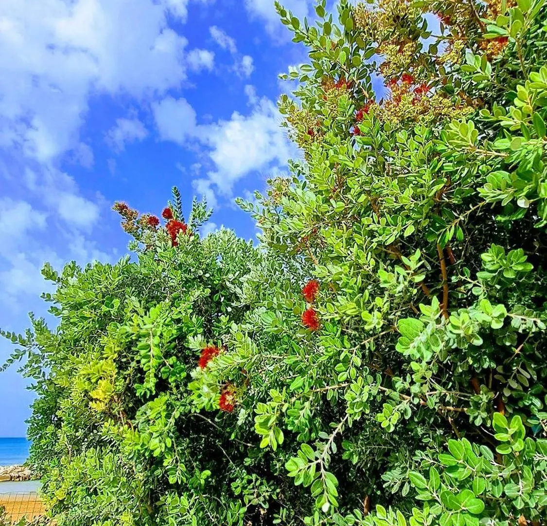 Casasicula - Artemis House Villa Pozzallo 0*,